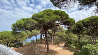 Vlog In Tanger Marokko laatste dag 🇲🇦