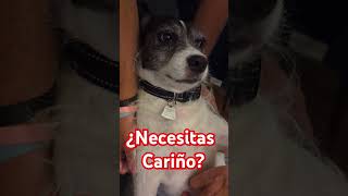 "¿Necesitas Cariño? ¡Todos lo Necesitamos!"