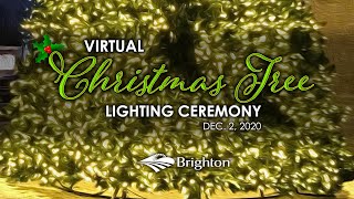 Christmas Tree Lighting 2020