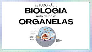 Biologia - Exercícios sobre Organelas