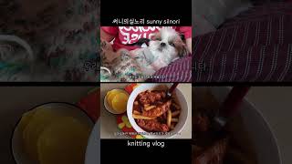 뜨개하며독서-25 #강아지뜨개옷 #뜨개 #강아지 #knitting #vlog #shorts