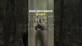 Если Заблудился в Лесу! | Приколы Охота Рыбалка Туризм | Тик Ток #Shorts