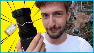 Animali fantastici e dove fotografarli! - Lumix 100-300 MKII Recensione ITA