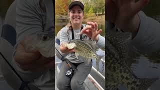 Catching BIG Crappie #fishing #outdoors #crappie