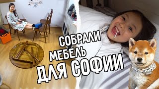 Предновогодний выпуск ;  Обустроили комнату Софии / KOREA VLOG