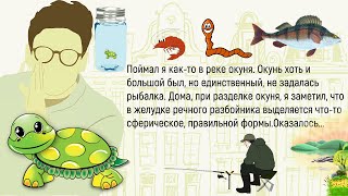 🏠В Тайланде Случилось Цунами.Сборник Новых ,Смешных До Слёз Историй Из Жизни ,Для Супер Настроения!