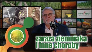 Fungicydowa ochrona ziemniaka🥔 | Rizoktonioza ziemniaka | Zaraza ziemniaka