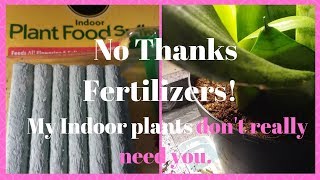 Why I Don't Fertilize My Indoor Plants