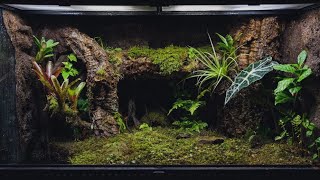 How I keep my Glass Vivariums Spotless - Tarantulas, Lizards, Frogs