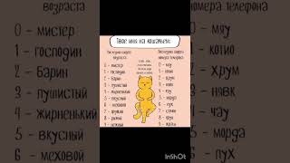 твоë имя на кошачьем