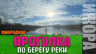 #13 Пешая прогулка по берегу Ижоры | Поиск рыбных мест #микроджиг, #путешествия, #рыбалка