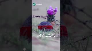 ماملت امام حسینیمؑ