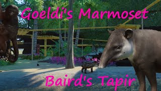 Goeldi's Marmoset and Baird's Tapir - Smalzie Zoo