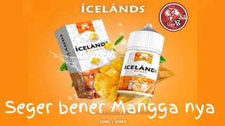 ICELAND MANGO by MOVE JUICE