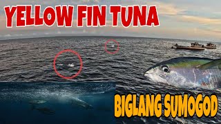 NATARANTA KAMI SA BIGLAANG PAG LABAS NG YELLOW FIN TUNA