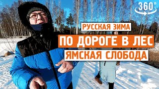 По дороге в лес / Ямская слобода / Завидово / 360vr / Норильск блог