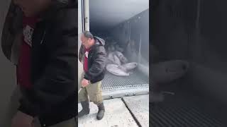 Frozen Tuna vs Workers !