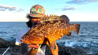 LAND BASED FISHING: BROWN GROUPER!