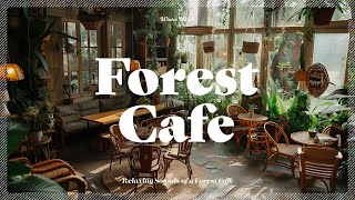 Relaxing Forest Cafe Sounds | Cafe Ambience for Study, Relaxation, and Focus | White Noise, ASMR