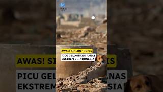 Indonesia lagi dilanda gelombang panas ekstrem akibat siklon tropis🥵 #bmkg #gelombangpanas #cuaca