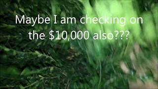 Hiding the Legacy Park $200 | Fun & Fast Treasure Hunts