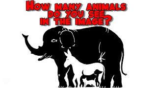 How many animals do you see in the image? #HowManyAnimalsCanYouSee