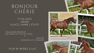 Bonjour Cherie Jak Malowana (Callahos Benicio x Diamond Hit x Sandro)