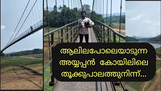 അയ്യപ്പൻ കോയിലിലെ തൂക്കുപാലത്തു നിന്ന് | From Ayyappancoil Hanging Bridge in Idukki