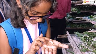 রেশম মথের চাষ প্রক্রিয়া | Science Excursion 2023 | ART MISSION