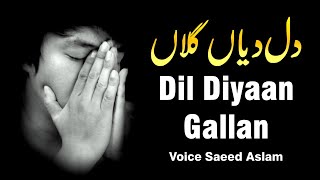 Poetry Poetry Dil Diyaan Gallan دل دیاں گلاں By Saeed Aslam Punjabi Shayari Whatsapp Status