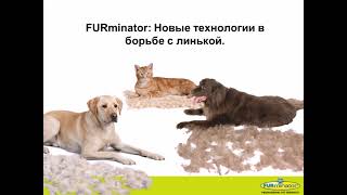 FURminator Видео Обучение для продавцов