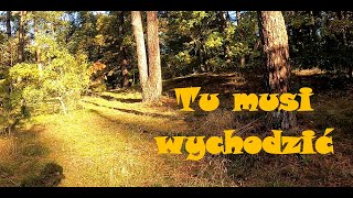 Wykopki tu musi coś być