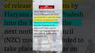 Why Yamuna River is Most Polluted in Delhi😕 | #shorts