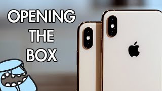 Opening the Box - iPhone XS (iPhone XS Gold Unboxing)