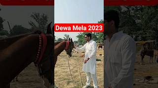 Dewa Mela 2023🥳 | Dewa Mela Shorts | Deva mela status | Deva mela | Deva mela 2023 | #devamela2023