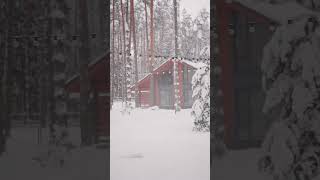 Snow Drizzling | Nature Enthusiast | #shorts #asmr #oddlysatisfying