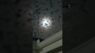 Airplane crossing via cloudy sky and moon #shorts #youtube #video #irving #valleyranch