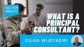 What is a Principal Consultant? Roles at Halcyon Knights.