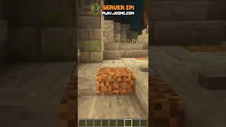 How To Check Your Balance In Minecraft