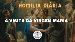 FESTA DA VISITAÇÃO DE NOSSA SENHORA (Homilia Diária, 31.05.2023)