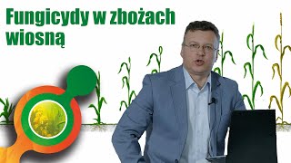 Ochrona fungicydowa zbóż- wiosna 2021