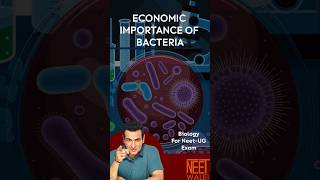 Economic important of Bacteria | Biological classification| class 11 | NEET BIOLOGY| #neet #biology