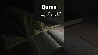 💕Quran Translation ||Islamic WhatsApp Status ||🍃Quran Tarjuma🤗 #qurantranslation #quraninurdu #quran