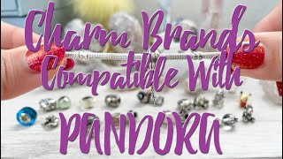 Charm Brands Compatible W/ Pandora Snake Chain Moments Bracelets