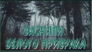 Белый призрак в лесу следит за нами... #кудатоходывлесу