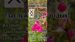 ТГ ДРАКОНЬЯ РУНА #руны #руныобучение #таро #runes #tarot #tarotreading#руныгадание#рунадня#картадня