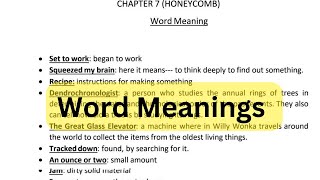 Word Meanings: Invention of Vita wonk Chapter 7 class7