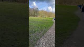 Open area for Ball games in Bolam Lake, Newcastle, England, UK