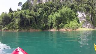 Song Of The Gibbons Monkeys. Khao Sok National Park Thailand