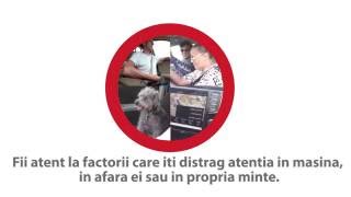 Ziua Europeana fara accidente rutiere mortale 2